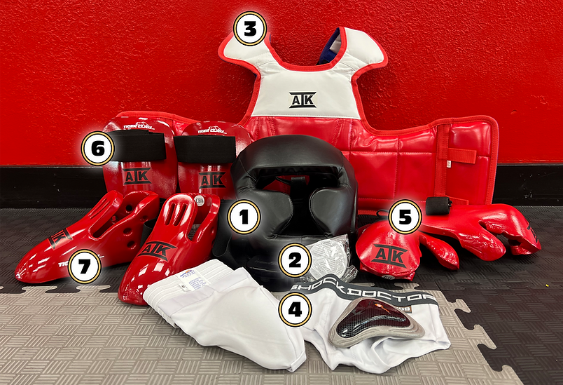 American Institute of Kenpo required sparring gear.